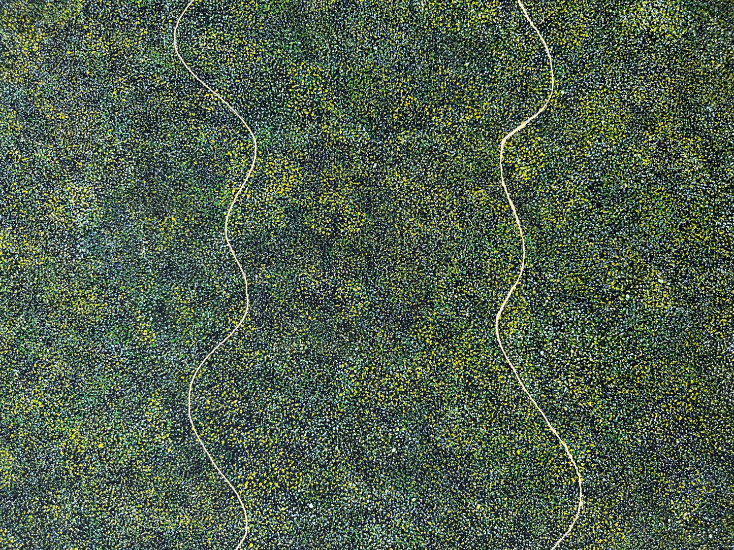 Polly Nelson Nangala Ngale Ngal + Utopia + Indigneous Art + Aboriginal Art + Australian Art + Dot Painting + Dot artwork + Green + yellow + Bush Plum Dreaming + Famous Artist + Aerial Art + Darwin Based Gallery