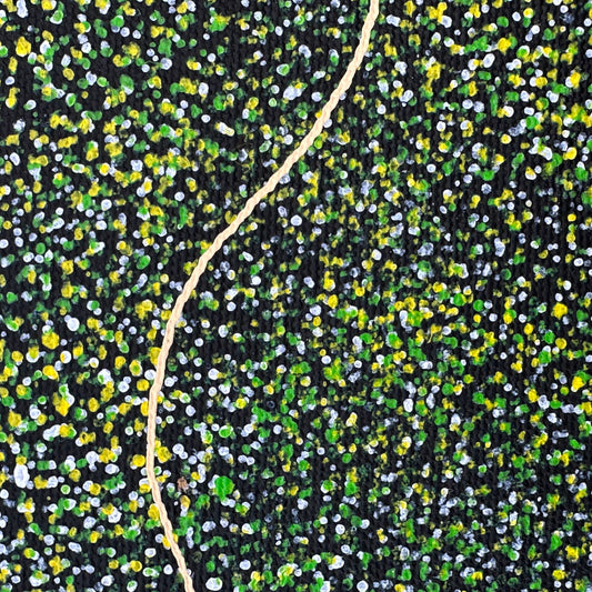 Polly Nelson Nangla, Polly Ngale, Polly Ngal, Utopia artist, Indigenous art, Aboriginal Art, Australian Art, Bush Plum dreaming, dot painting, dot art, art for sale, painting for sale, indigenous art for sale, aboriginal art for sale, altyerre aboriginal art, art décor, interior décor, interior design, colourful, home décor, office décor, art collector, Darwin gallery, art gallery, northern territory, family business, bush tucker, bush food, interior designer, wall art, bush plum dreaming