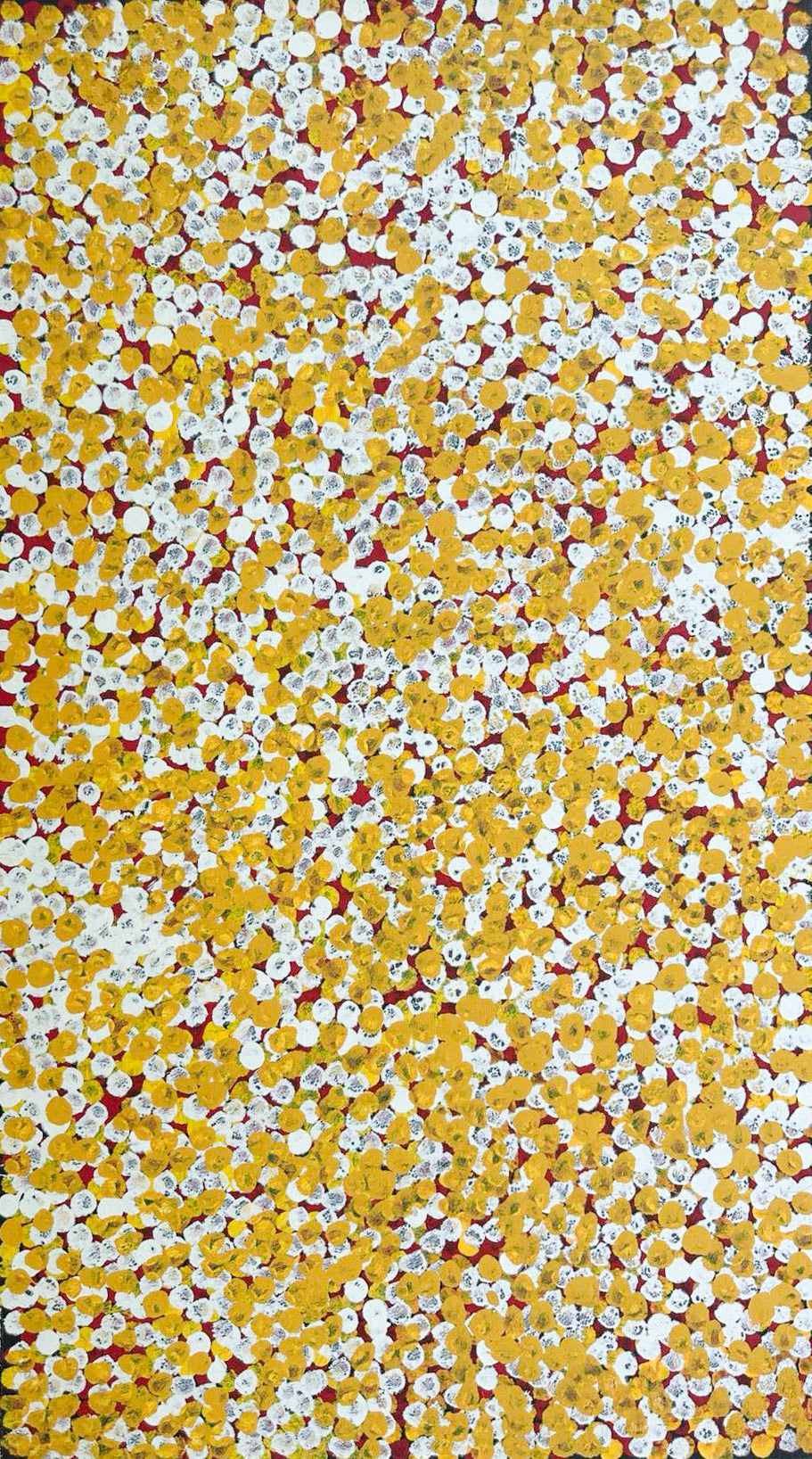 Polly Nelson Nangla, Polly Ngale, Polly Ngal, Utopia artist, Indigenous art, Aboriginal Art, Australian Art, Bush Plum dreaming, dot painting, dot art, art for sale, painting for sale, indigenous art for sale, aboriginal art for sale, altyerre aboriginal art, art décor, interior décor, interior design, colourful, home décor, office décor, art collector, Darwin gallery, art gallery, northern territory, family business, bush tucker, bush food, interior designer, wall art, bush plum dreaming