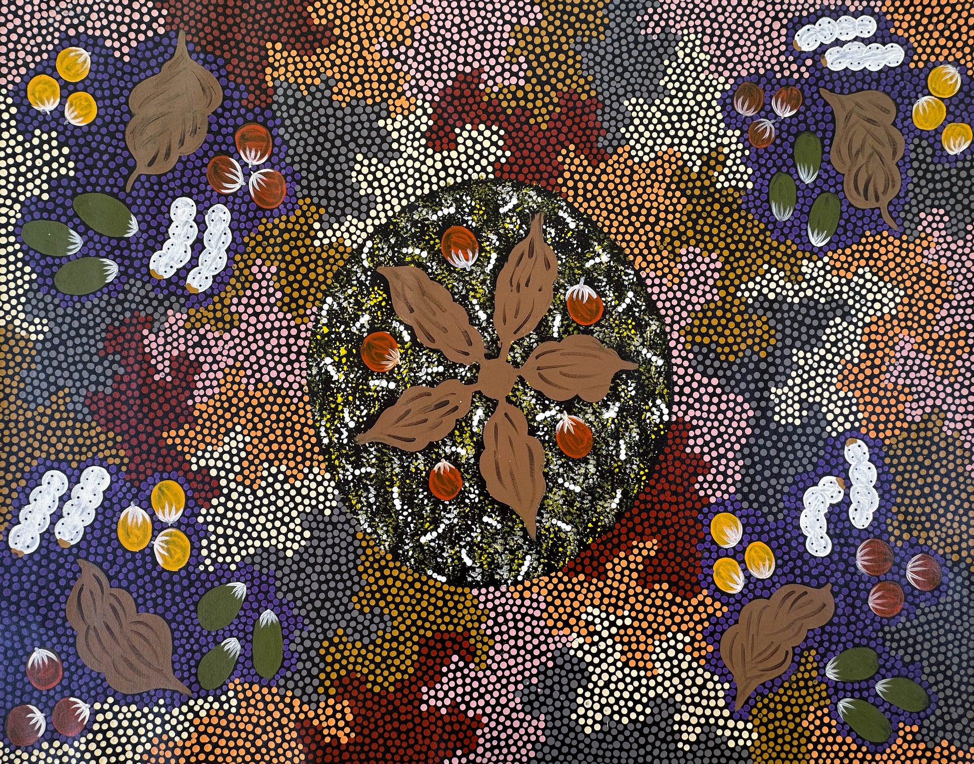 Patsy Ross + Ti Tree + Indigenous Art + Aboriginal Art + Australian Art + Bush Tucker + Dreaming + Witchetty Grub + Bush Berries + Bush Banana + Bush Tomato + Darwin Based Gallery + Dot Art Painting + Dot Painting +
