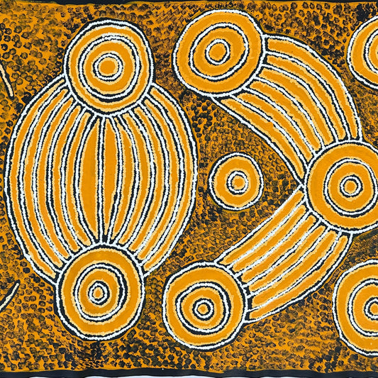 Rowena Pei Pei + Kaltukatjara +Docker River +Northern Territory + Pitjantjatjara + Aboriginal Art + Indigenous Art + Australian Art + Darwin Based Gallery + Artwork + Painting + Iconography + Symbolism