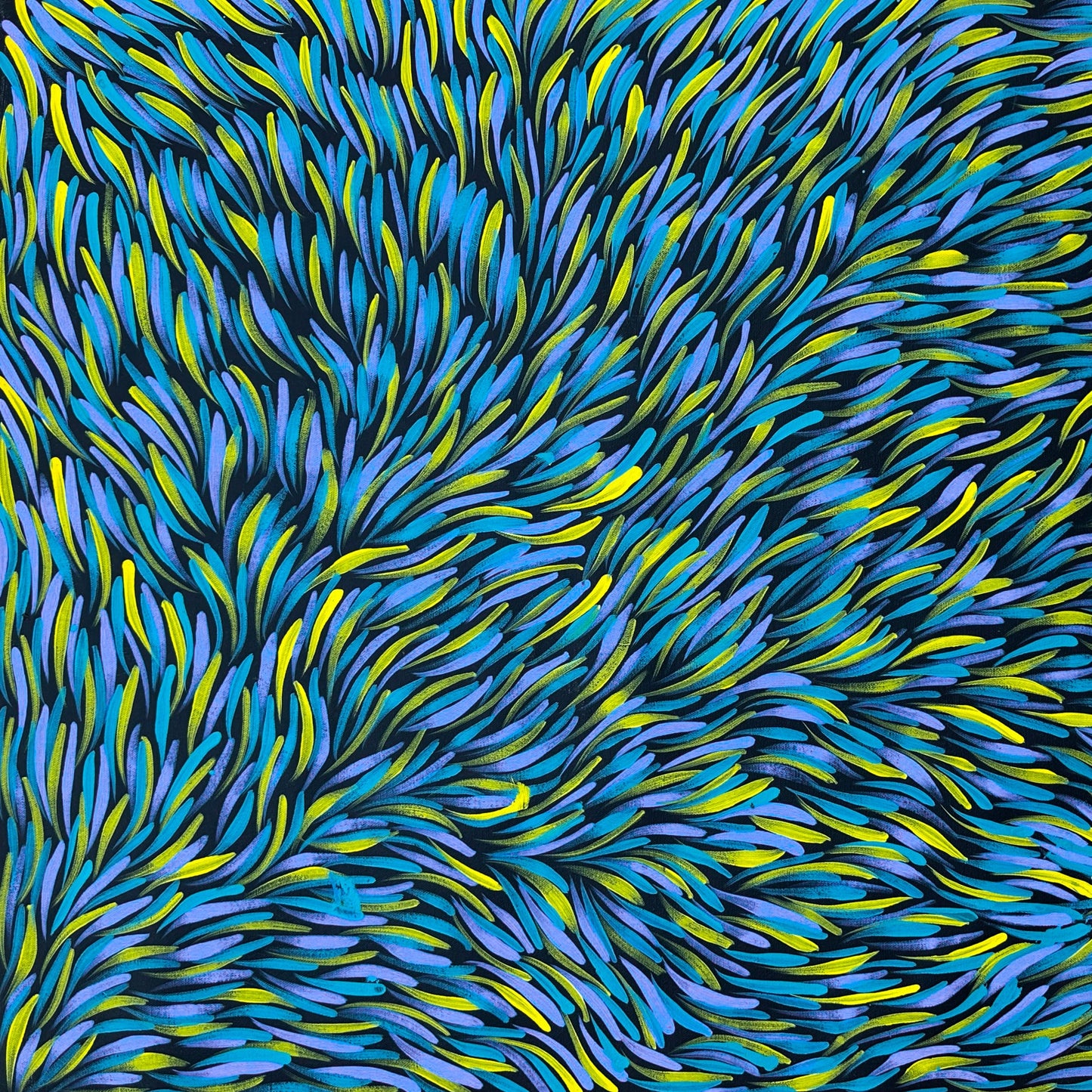 Rosemary Pitjara Petyarre Utopia Bush Medicine Leaves Aboriginal Art Indigenous Art Australian Art Painting Dreaming Yellow Blue Purple