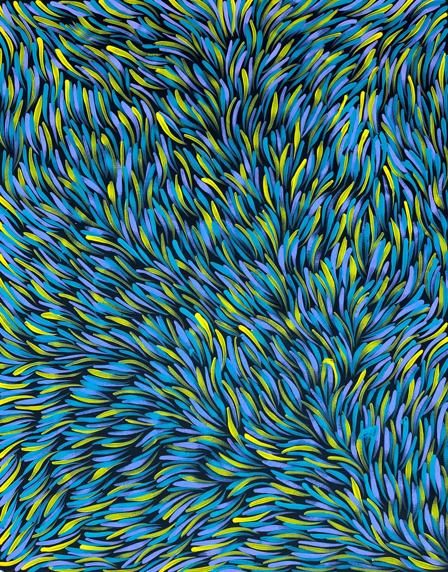Rosemary Pitjara Petyarre, Utopia, Northern Territory, Outback, Indigenous Art, Aboriginal Art, Australian Art, Bush Yam Leaves, Bush Medicine Leaves, Art, Art Gallery, Art for Sale, Painting, Painting for sale, Altyerre Aboriginal Art, Darwin Gallery, Art Décor, Interior Décor, Wall Art, Interior Decorator, Ethical Art, Original Art, Direct From the Artist, Family Business, Anmatyerre, Movement, Colourful, Beautiful Art, Utopia, Utopian Artist,