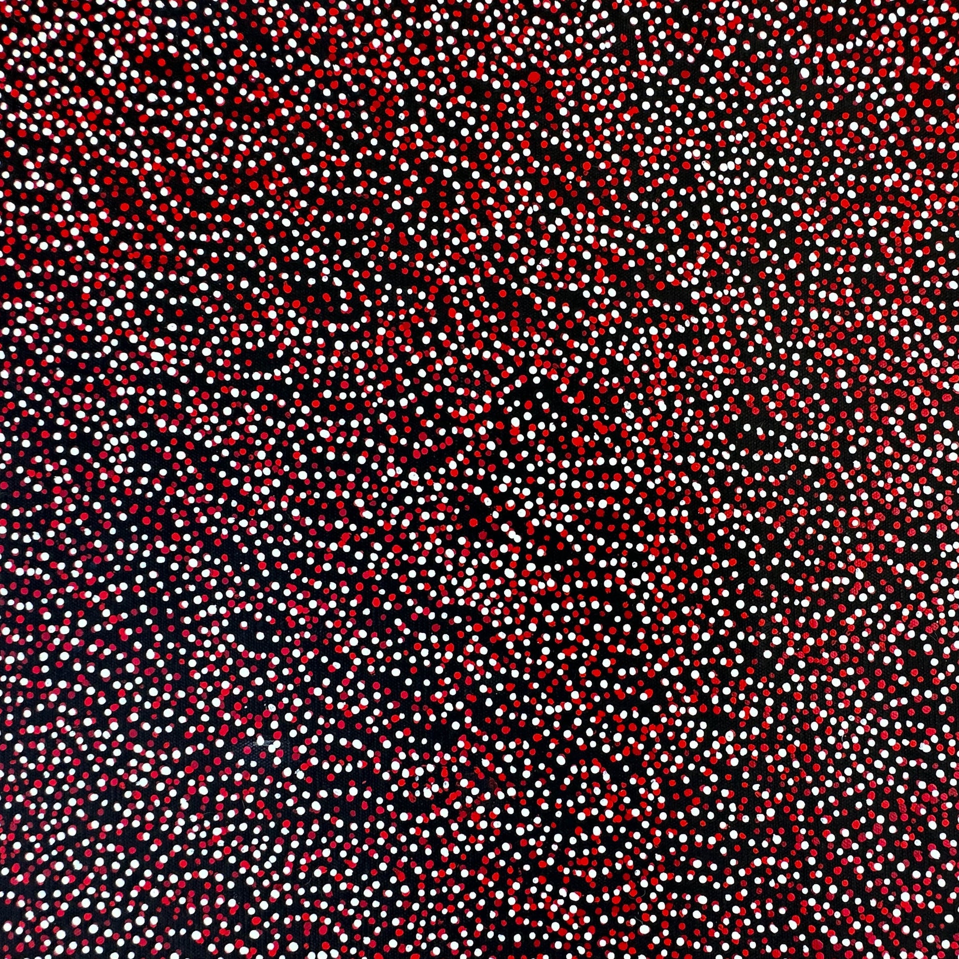 Teresa Pula Price + Grandmother's Country + Red + White + Black + Utopia + Indigenous Art + Aboriginal Art + Australian Art + Dot Art Painting + Dot work + Art Gallery + Darwin Based Gallery + Family Business + Home Decor + Interior Decor + Interior Designer +