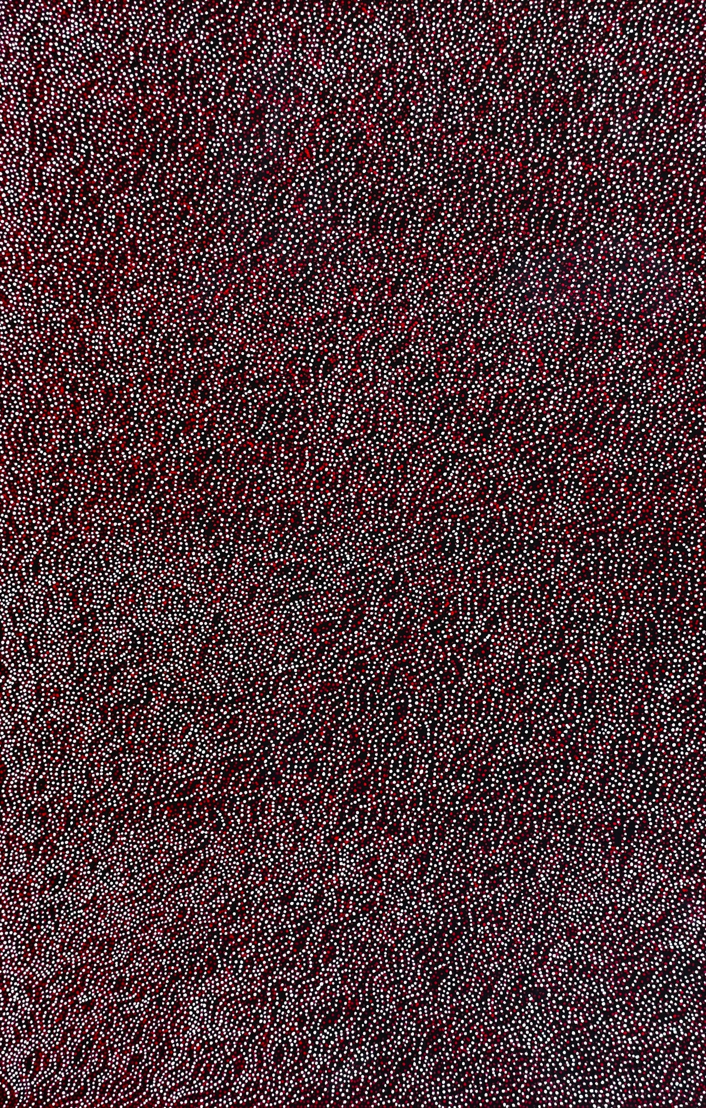 Teresa Pula Price + Grandmother's Country + Red + White + Black + Utopia + Indigenous Art + Aboriginal Art + Australian Art + Dot Art Painting + Dot work + Art Gallery + Darwin Based Gallery + Family Business + Home Decor + Interior Decor + Interior Designer +
