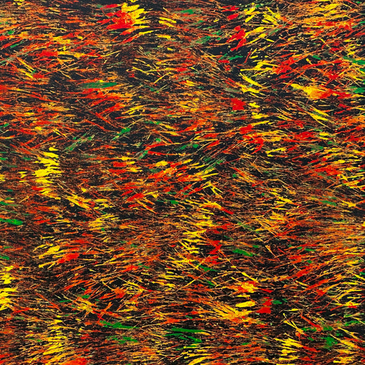 Tjanpi Kampanyi + Burning Grass + Ingigenous Art + Aboriginal Art + Australian Art + Abstract Art + Contemporary Art + Darwin Based Gallery + yellow + Green + Orange + red + Fire + Traditional Ways + Alice Springs + Kings Canyon +