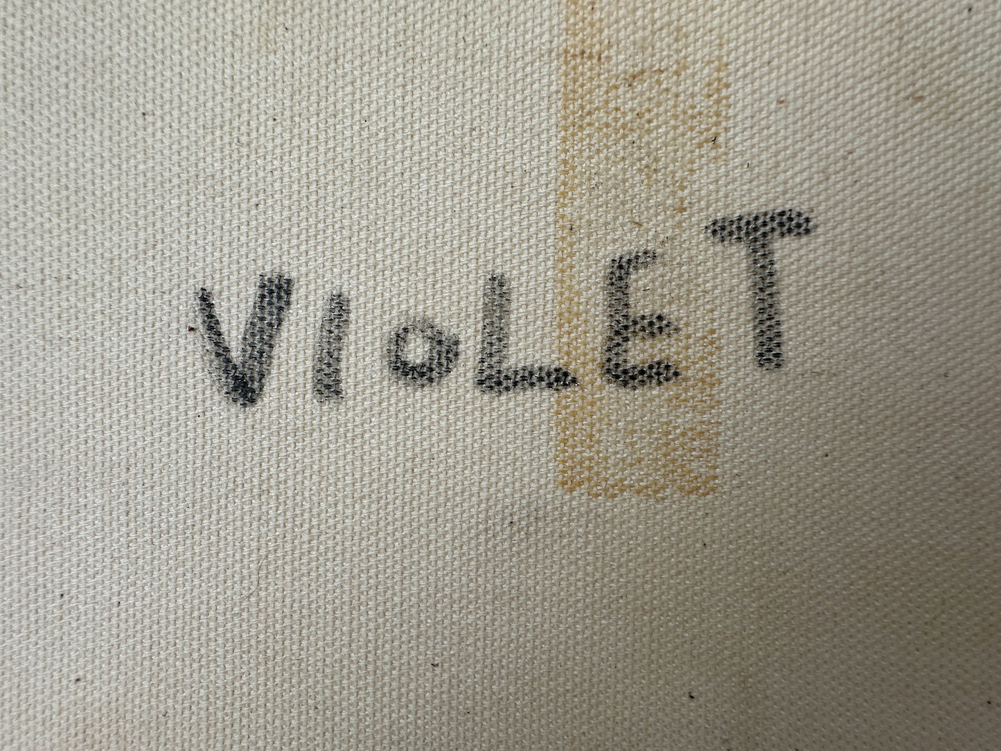Violet Pitjara Petyarre + Petyarre Sisters + 7 Sisters + seven sisters + Utopia + purple + white + art gallery + online art gallery + artwork + artwork for sale + art for sale + painting for sale + indigenous art + aboriginal art + australian art + altyerre aboriginal art + family owned business + art collector + Arnkerrthe + Mountain Devil Lizard + thorny Devil Lizard + Interior design + wall art + Decor ideas + interior design ideas