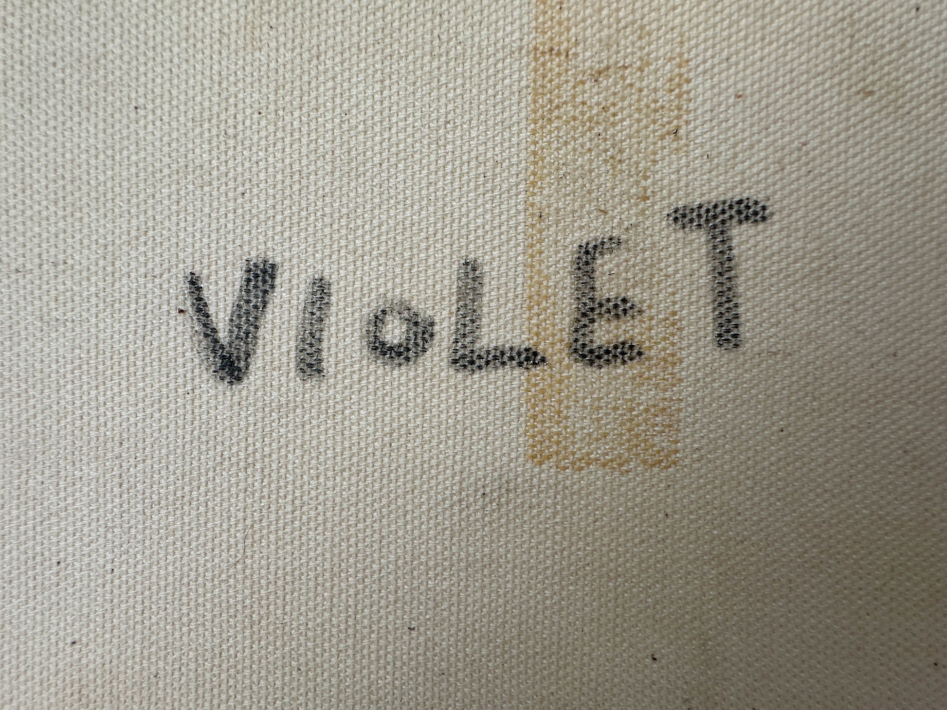 Violet Pitjara Petyarre + Petyarre Sisters + 7 Sisters + seven sisters + Utopia + purple + white + art gallery + online art gallery + artwork + artwork for sale + art for sale + painting for sale + indigenous art + aboriginal art + australian art + altyerre aboriginal art + family owned business + art collector + Arnkerrthe + Mountain Devil Lizard + thorny Devil Lizard + Interior design + wall art + Decor ideas + interior design ideas