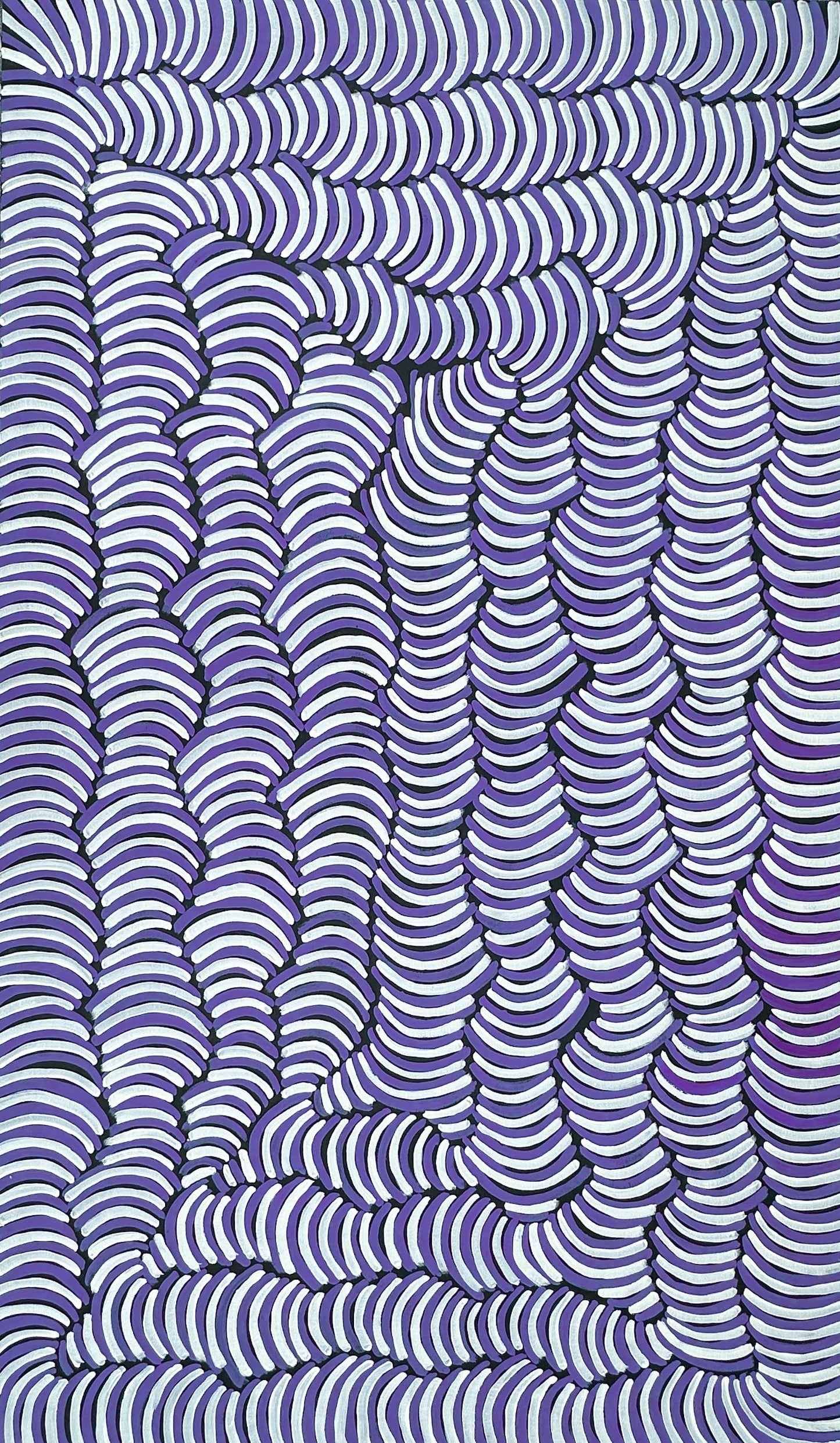 VIOLET PETYARRE (PITJARA) - Arnkerrthe