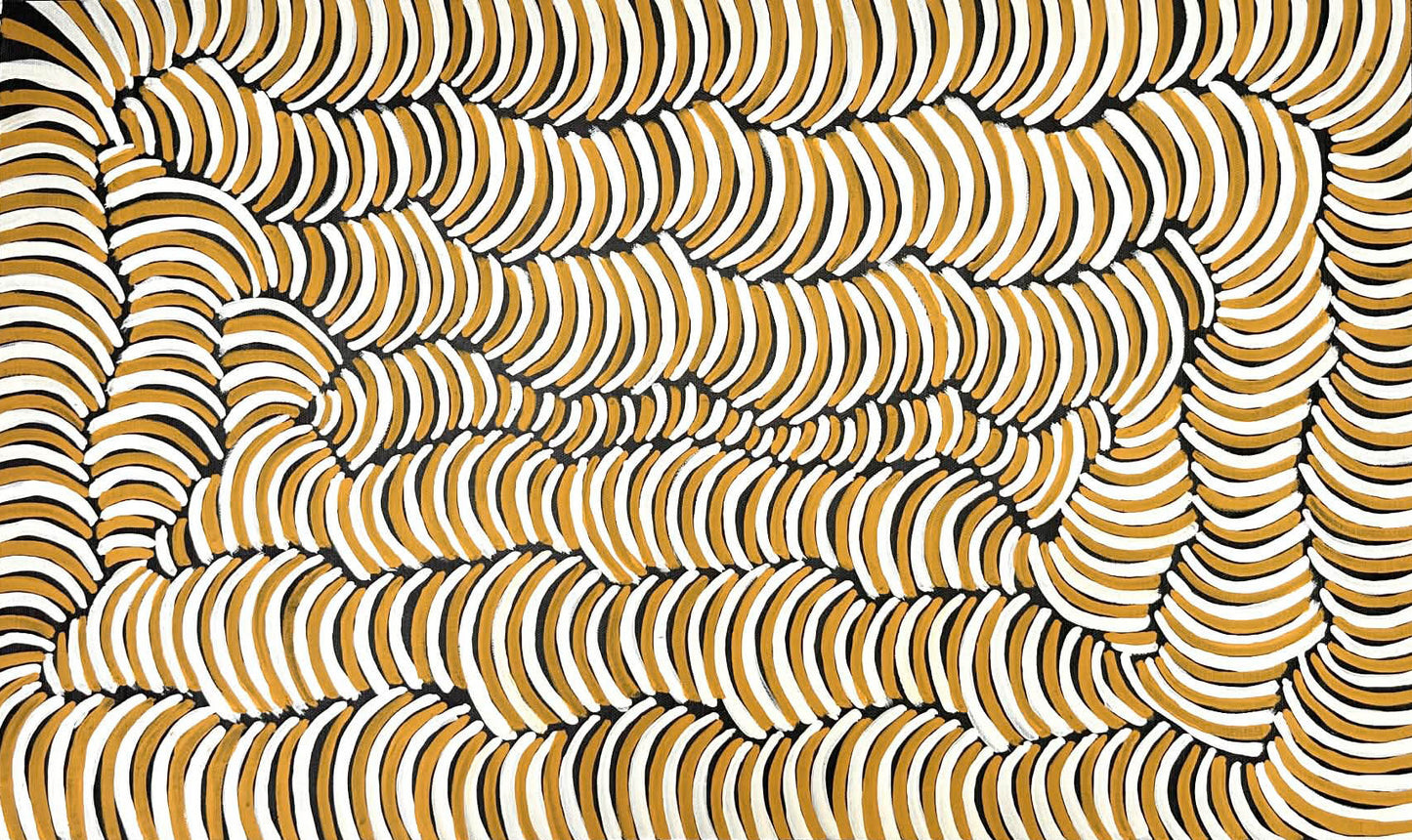 #violetpetyarre #violetpitjara #arnkerrthe #mountaindevil #thornydevillizard #lizard #indigenousart #aboriginalart #australianart #art #painting #artforsale #paintingforsale #decor #interiordecor #interiordesigner #officedecor #wallart #altyerreaboriginalart #artstory #authenticart #originalart #famousartist #familybusiness #artgallery #gallery #darwingallery
