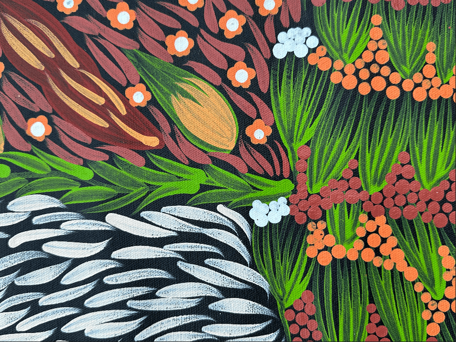 Mary Napangardi Jones Amunturngu Mt Liebig Aboriginal Art Australian Art Indigenous Art Traditional Art Painting Contemporary Art Beautiful art