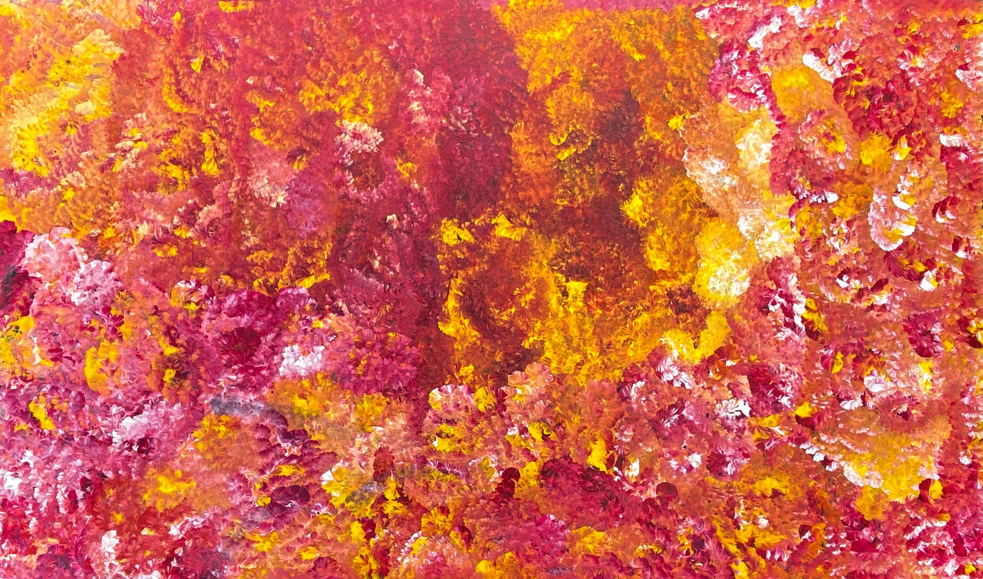 Jeannie Pitjara Petyarre Indigneous Art Aboriginal Art Australian Art Bush Yam Flowers Utopia