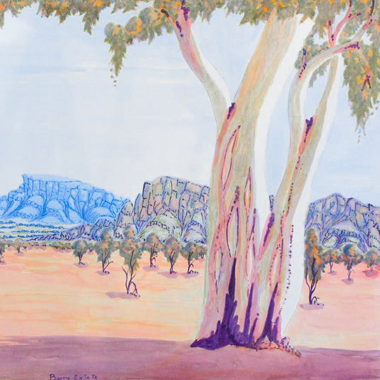 BARRY ENTATA - Central Australian Landscape