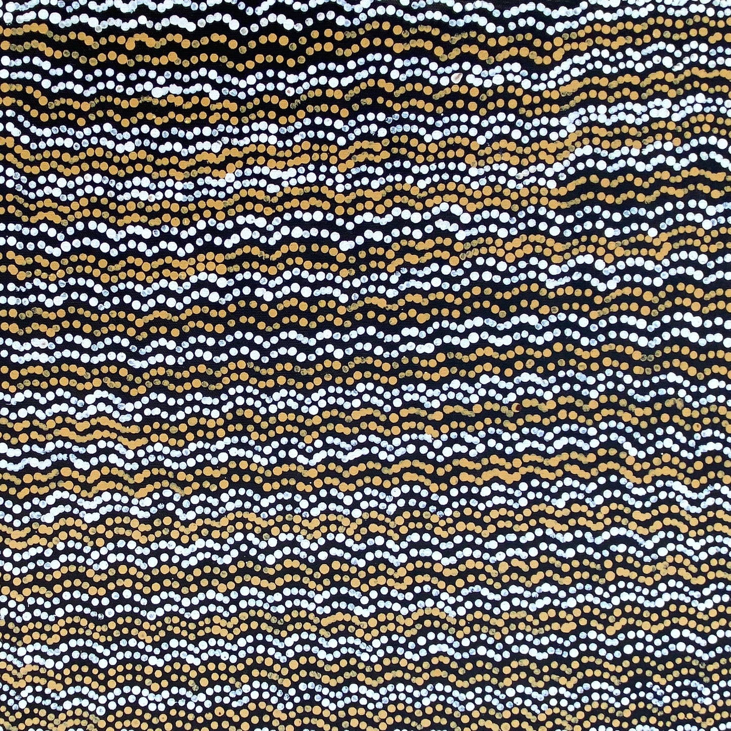 Betty Club Mbitjana Bush Melon Seeds Aboriginal Art Indigenous Art Australian Art Contemporary Art Aboriginal Dreaming Art Painting Artist