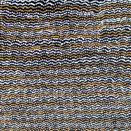Betty Club Mbitjana Bush Melon Seeds Aboriginal Art Indigenous Art Australian Art Contemporary Art Aboriginal Dreaming Art Painting Artist
