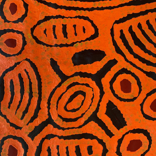 BARBARA NAPANGARTI REID - Minyma Tingari