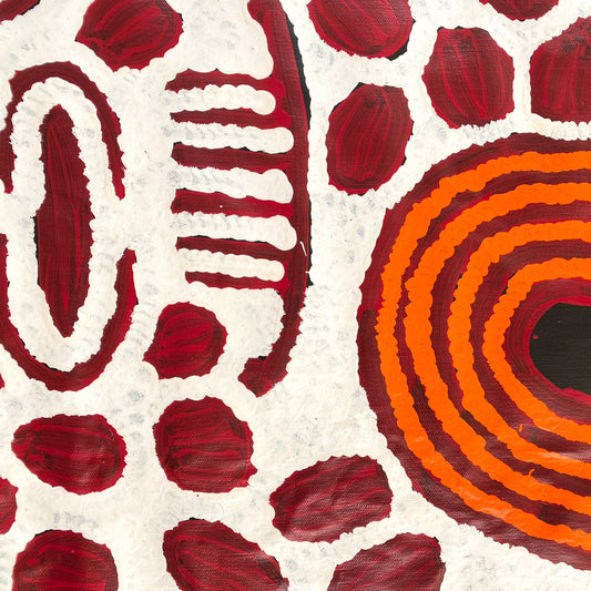 Barbara Napangarti Reid, Gibson Desert, Western Australia, Indigneous art, Aboriginal art, Australian Art, Indigenous art for sale, Aboriginal art for sale, womens ceremony, bush apple, bush tucker, Darwin gallery, altyerre aboriginal art, interior design, Interior décor, family business, outback Australian art, Ngaanyatjarra, Iconography, Symbolism, dreaming