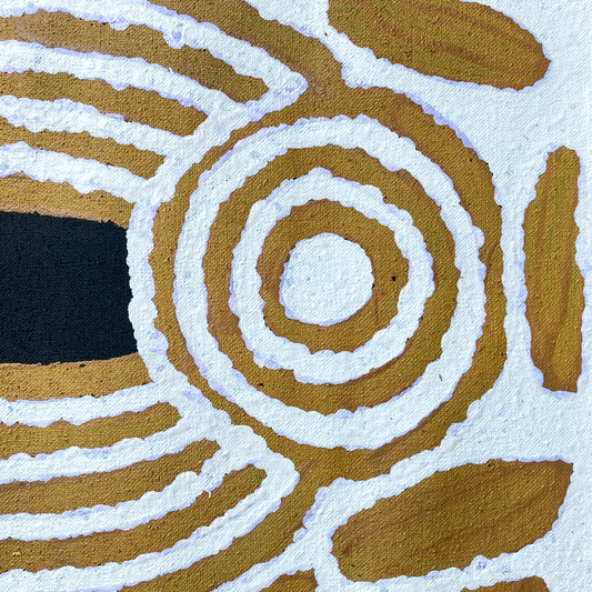 Barbara Napangarti Reid, Gibson Desert, Western Australia, Indigneous art, Aboriginal art, Australian Art, Indigenous art for sale, Aboriginal art for sale, womens ceremony, bush apple, bush tucker, Darwin gallery, altyerre aboriginal art, interior design, Interior décor, family business, outback Australian art, Ngaanyatjarra, Iconography, Symbolism, dreaming