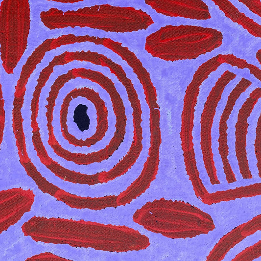 Barbara Napangarti Reid, Gibson Desert, Western Australia, Indigneous art, Aboriginal art, Australian Art, Indigenous art for sale, Aboriginal art for sale, womens ceremony, bush apple, bush tucker, Darwin gallery, altyerre aboriginal art, interior design, Interior décor, family business, outback Australian art, Ngaanyatjarra, Iconography, Symbolism, dreaming