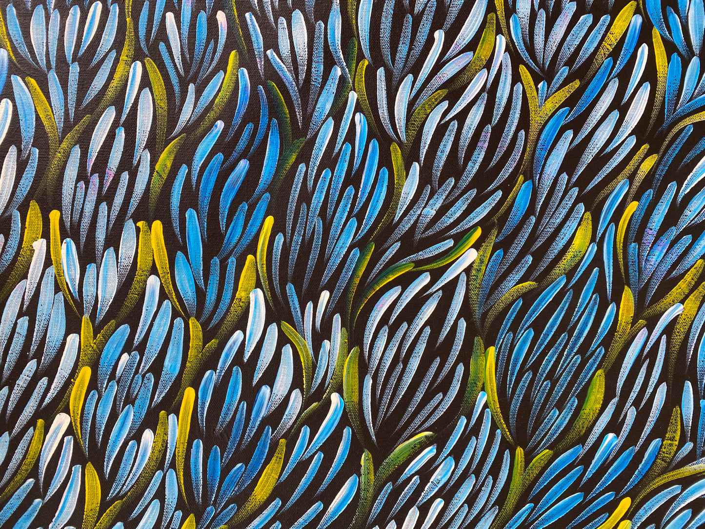 CAROLYN PRICE - Bush Seeds