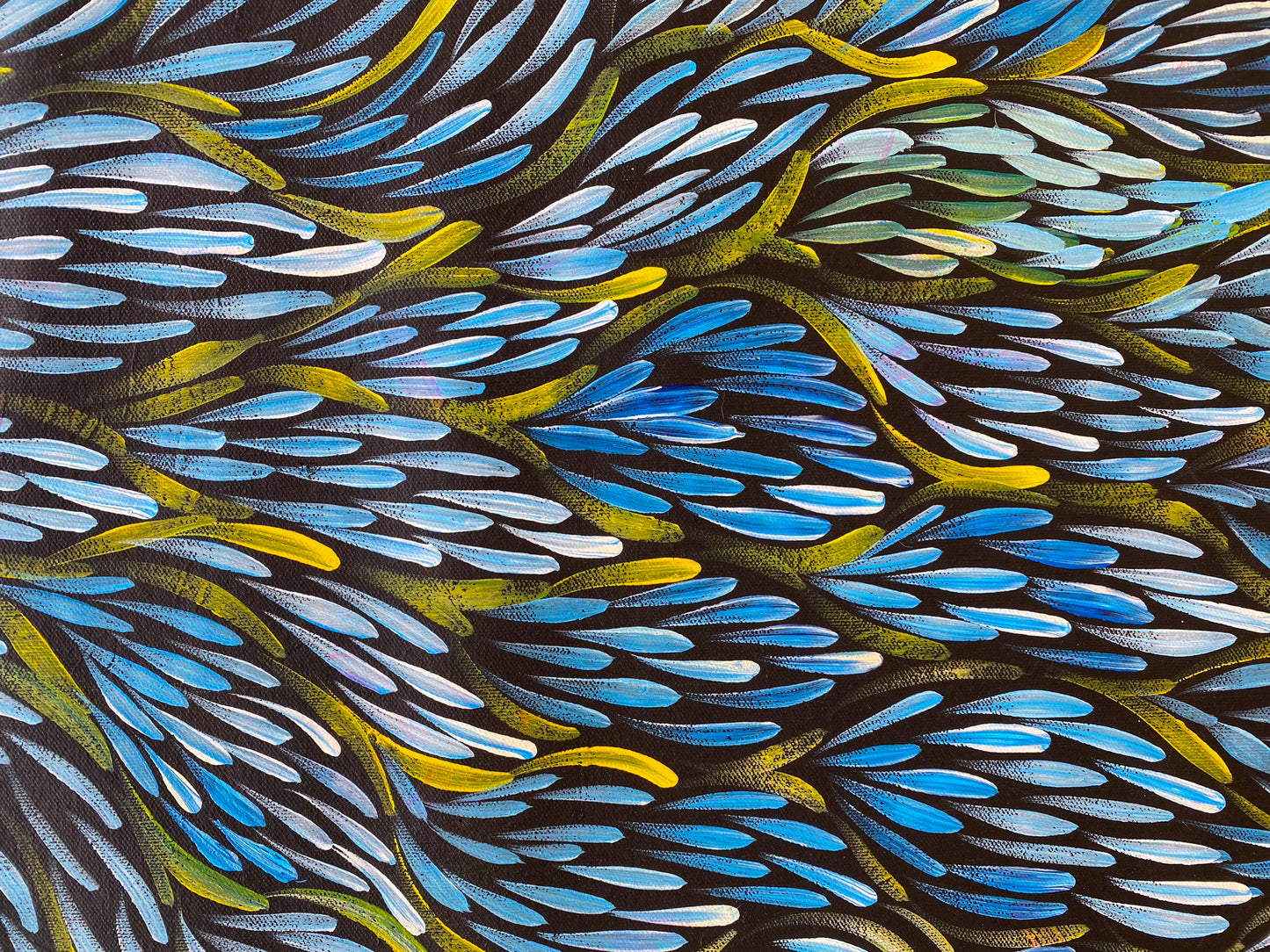 CAROLYN PRICE - Bush Seeds