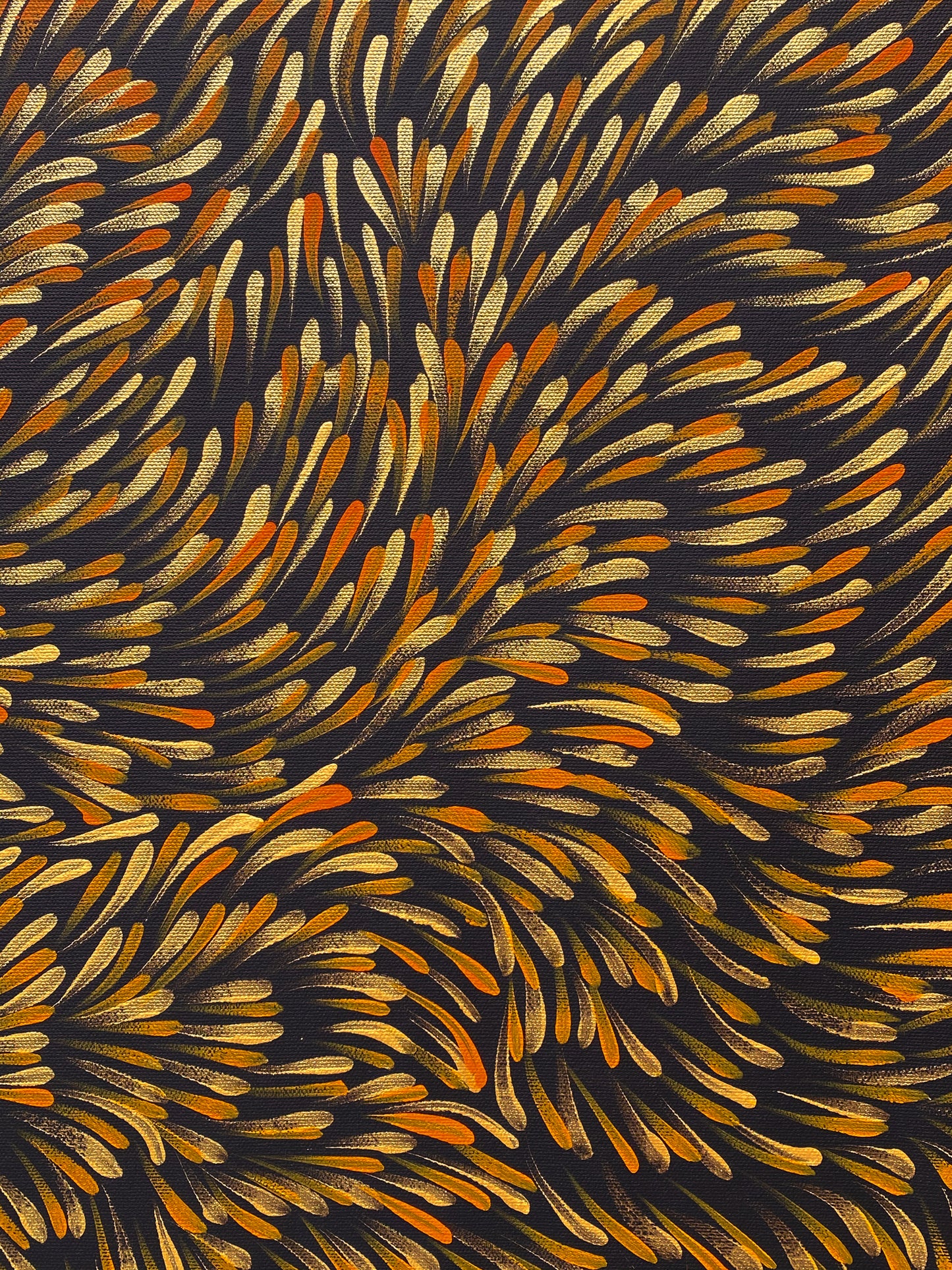 GLORIA TAMERRE PETYARRE - Bush Medicine