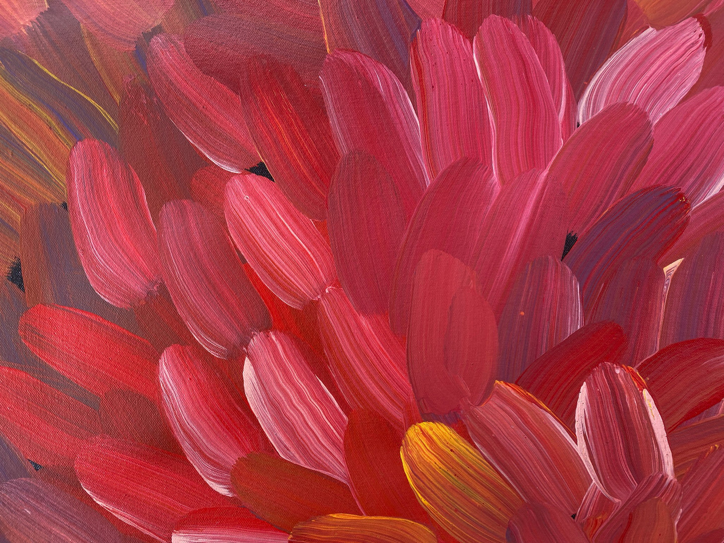 GLORIA TAMERRE PETYARRE - Bush Medicine Leaves