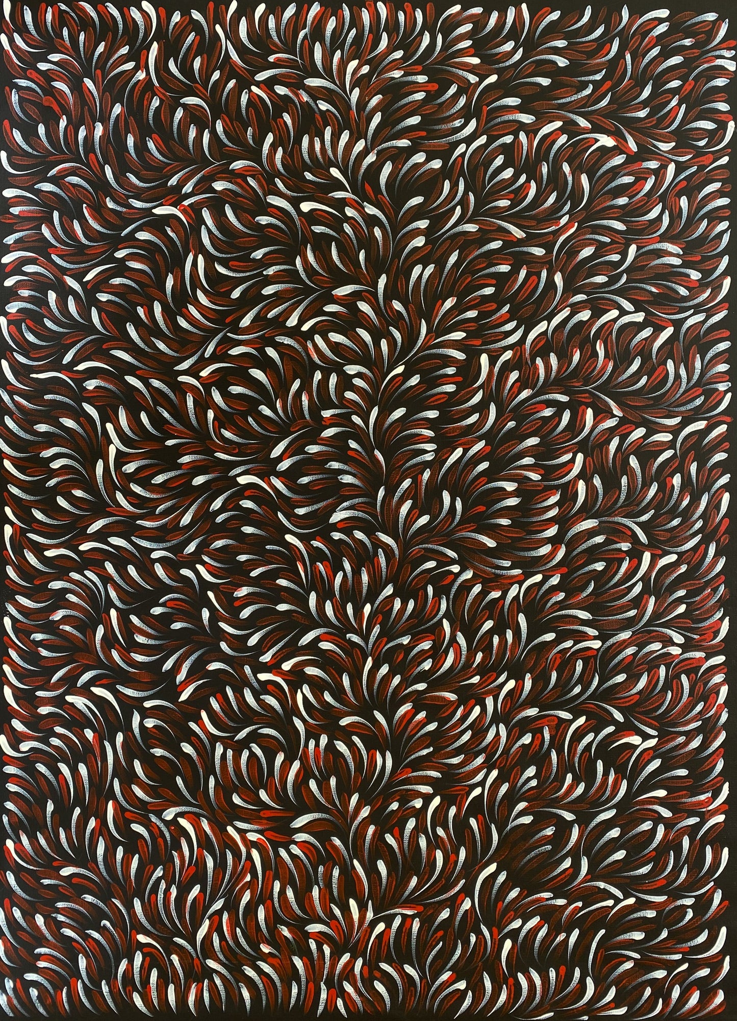 Gloria Tamerre Petyarre, Bush Medicine Leaves, Utopia, Art for Sale, Painting for Sale, Indigenous Art, Aboriginal Art, Australian Art, Darwin Art Gallery, Altyerre Aboriginal Art, Darwin Gallery, famous indigenous artist, aboriginal dreaming, interior décor, home décor, interior decorating, leaves, Iconic, office decor
