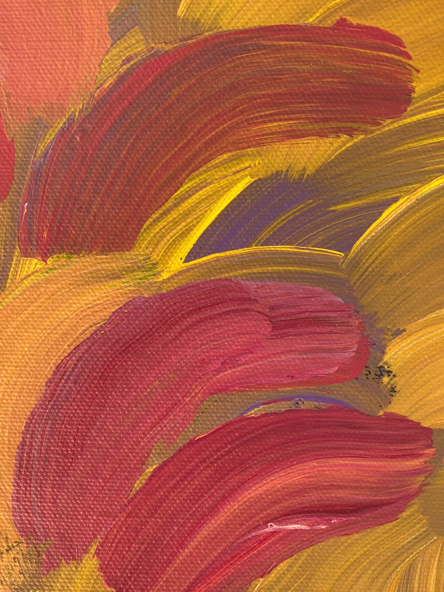 GLORIA TAMERRE PETYARRE - Bush Medicine Leaves