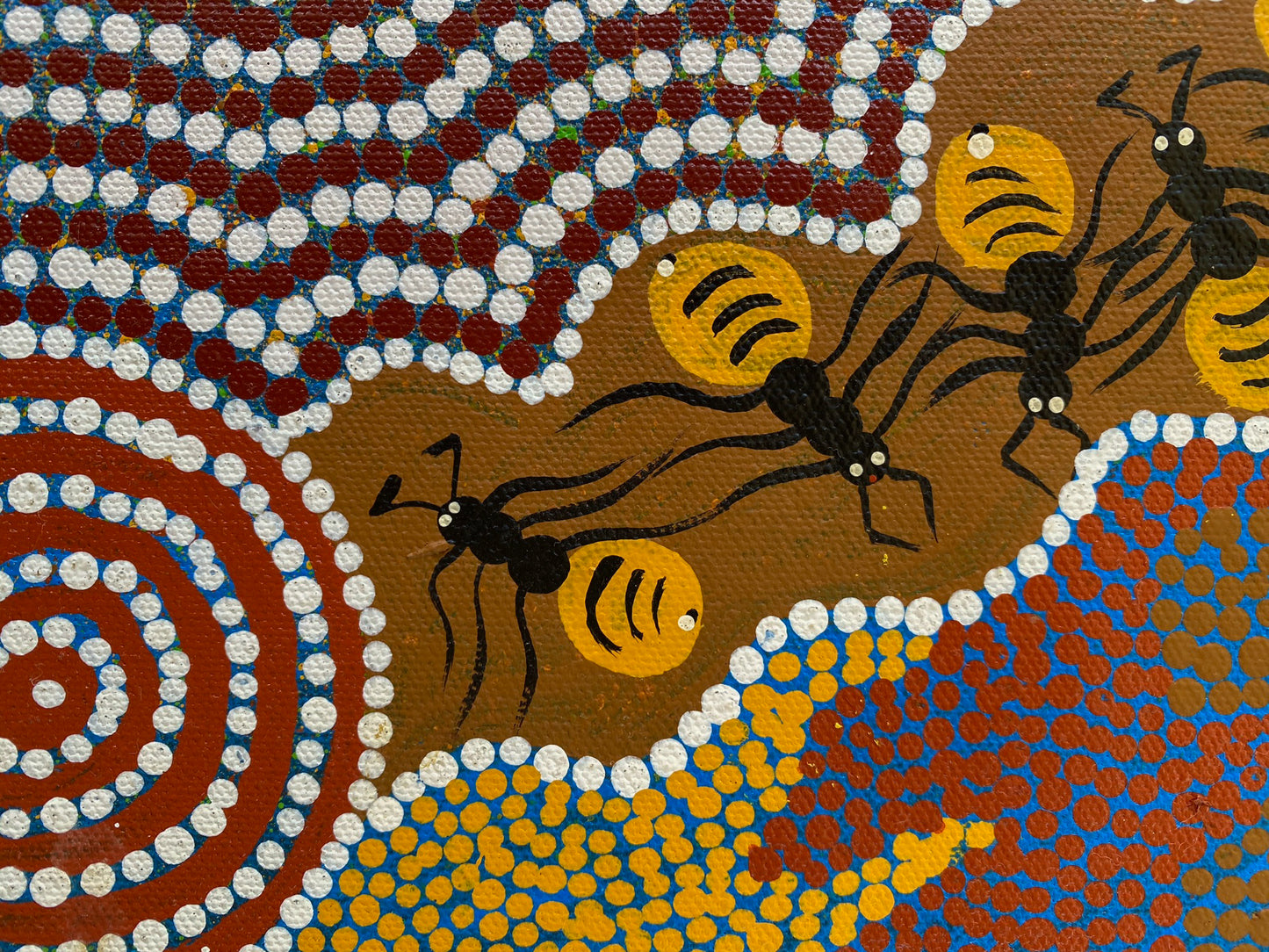 GRACIENNE SIDDICK NAPALJARRI - Bush Tucker