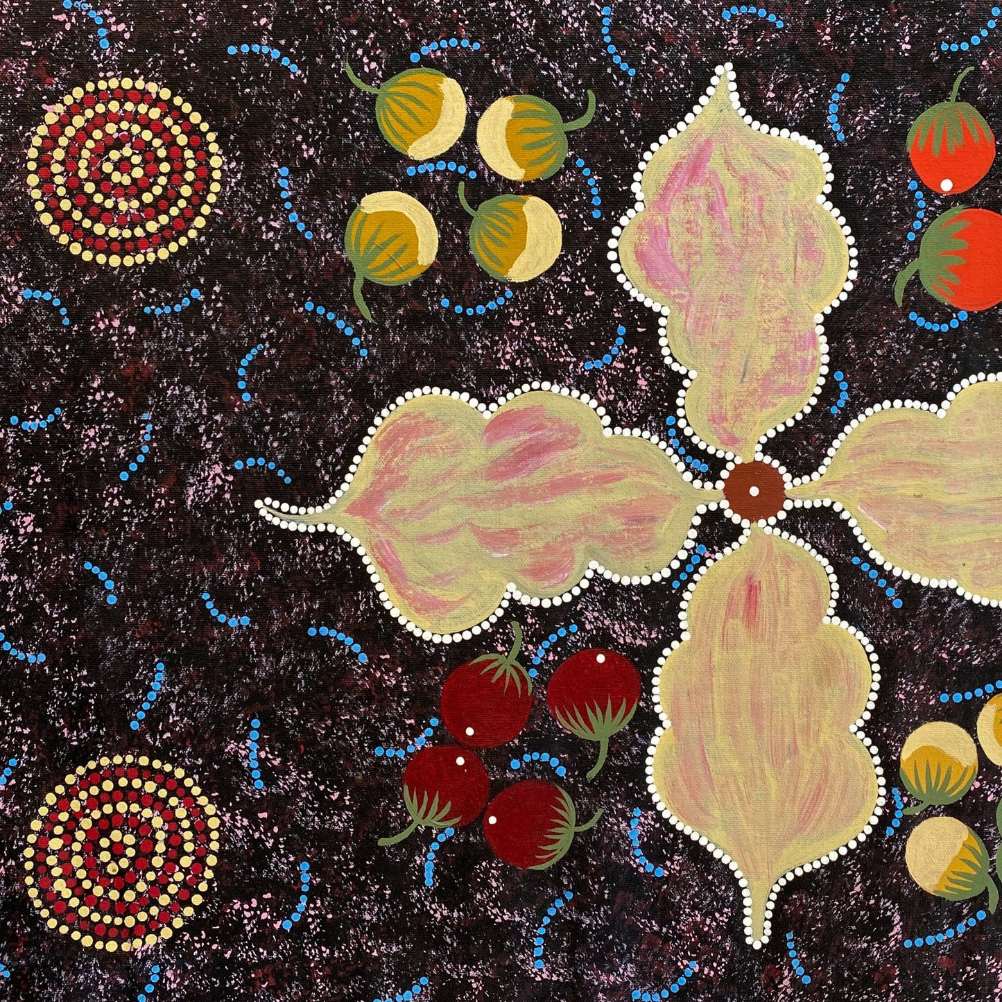 HELEN WHITE NAPALJARRI - Wild Potato & Waterholes