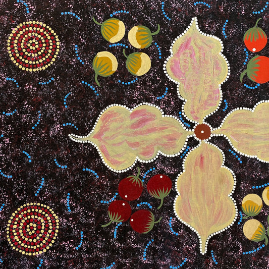 HELEN WHITE NAPALJARRI - Wild Potato & Waterholes