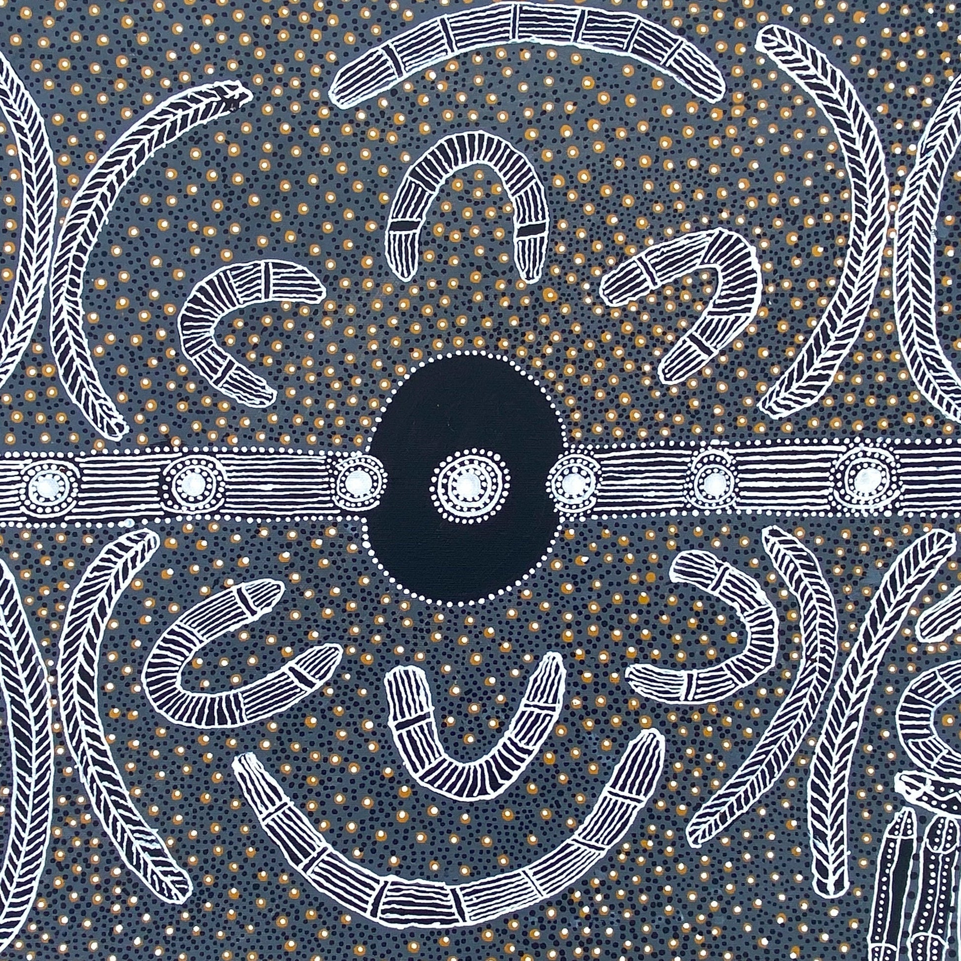 June Bird Nangala Ngale Petyarre Aboriginal Art Indigenous Art Australian Art Bush Plum Traditional Art Dot Art Painting Culture