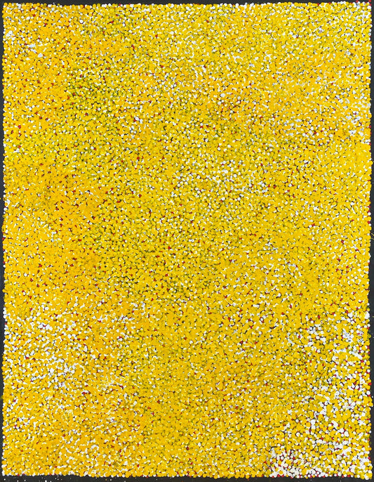 Polly Nelson Nangla, Polly Ngale, Polly Ngal, Utopia artist, Indigenous art, Aboriginal Art, Australian Art, Bush Plum dreaming, dot painting, dot art, art for sale, painting for sale, indigenous art for sale, aboriginal art for sale, altyerre aboriginal art, art décor, interior décor, interior design, colourful, home décor, office décor, art collector, Darwin gallery, art gallery, northern territory, family business, bush tucker, bush food, interior designer, wall art, bush plum dreaming