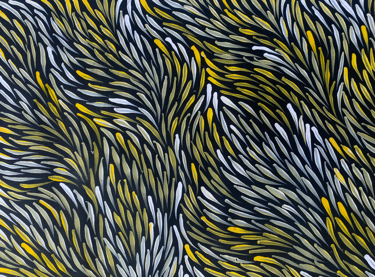 JEANNIE PITJARA PETYARRE - Bush Medicine Leaves