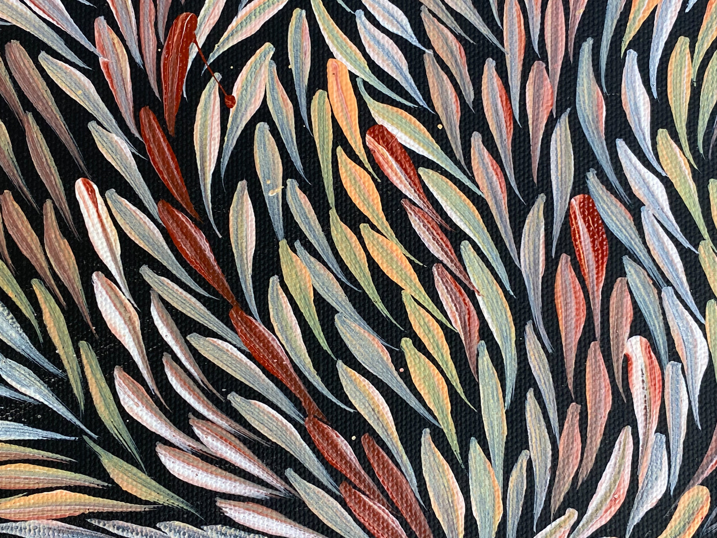JEANNIE PITJARA PETYARRE - Bush Medicine Leaves