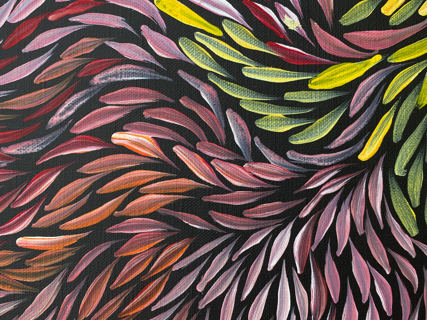 JEANNIE PITJARA PETYARRE - Bush Medicine Leaves