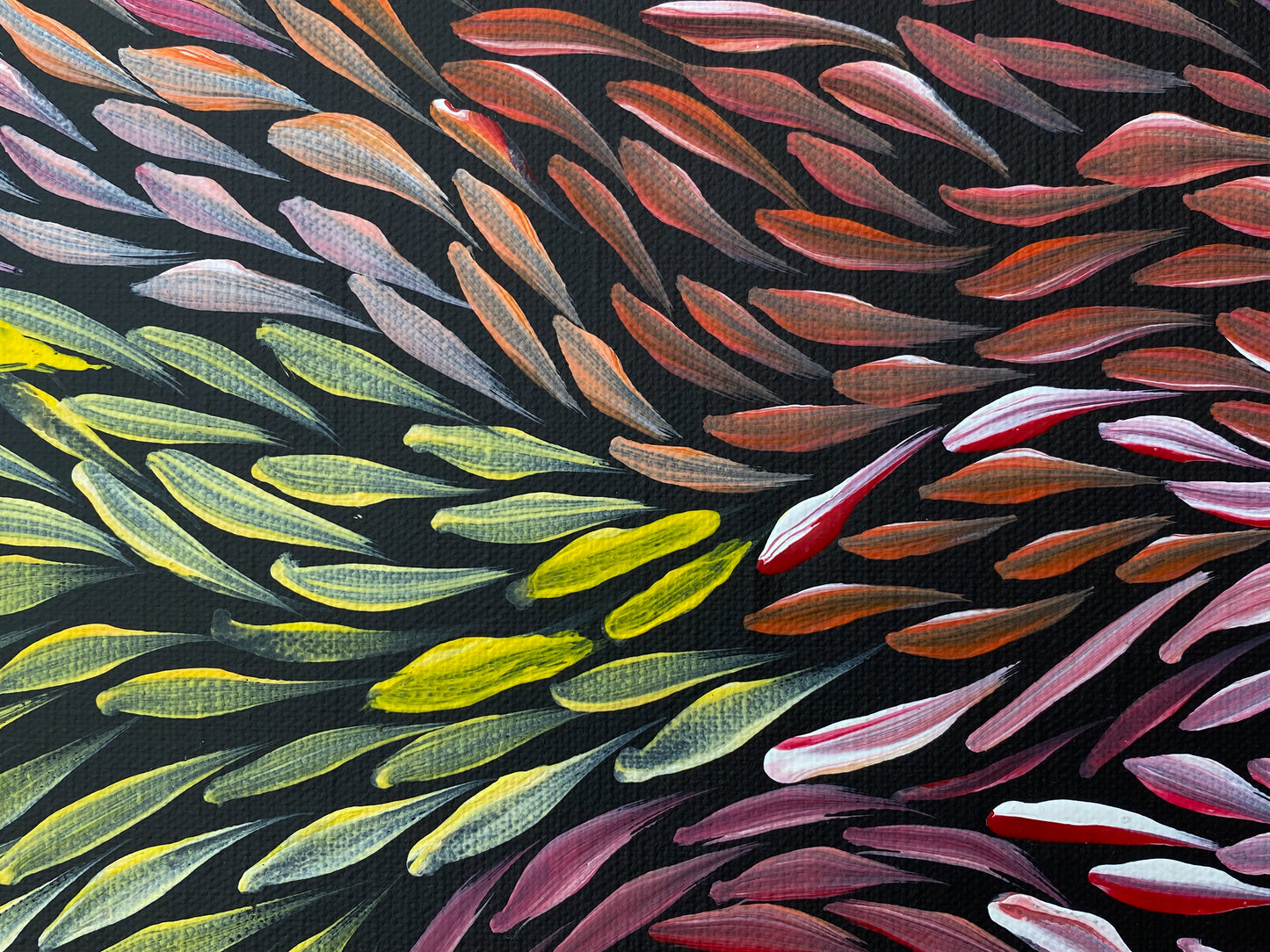 JEANNIE PITJARA PETYARRE - Bush Medicine Leaves