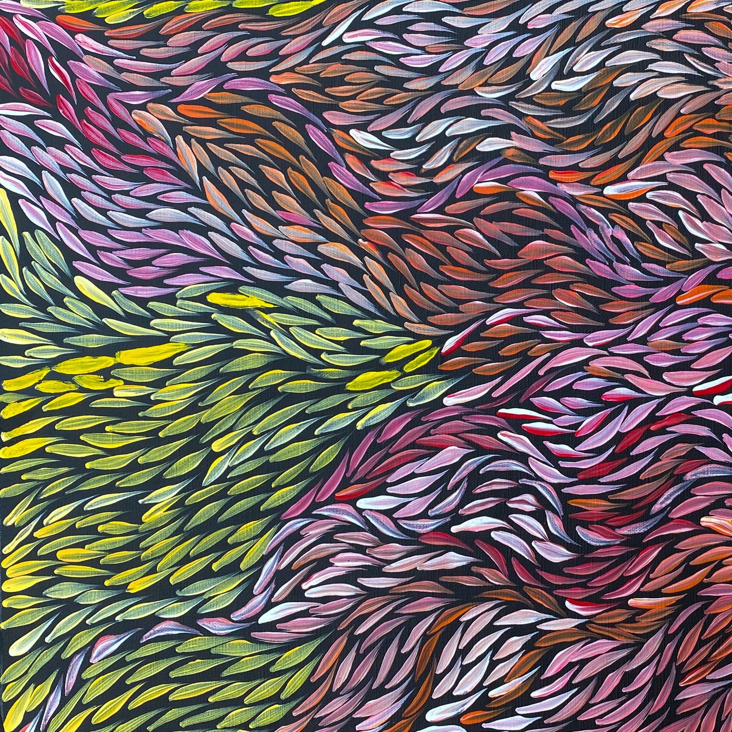 JEANNIE PITJARA PETYARRE - Bush Medicine Leaves