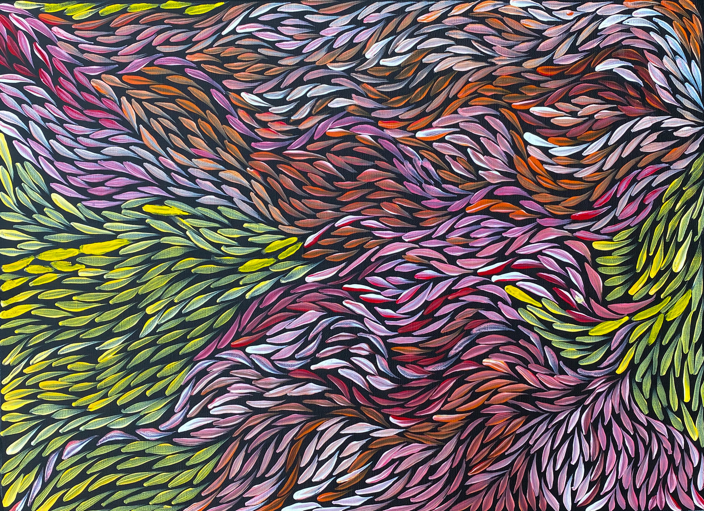 Jeannie Pitjara Petyarre Aboriginal art indigneous art australian art