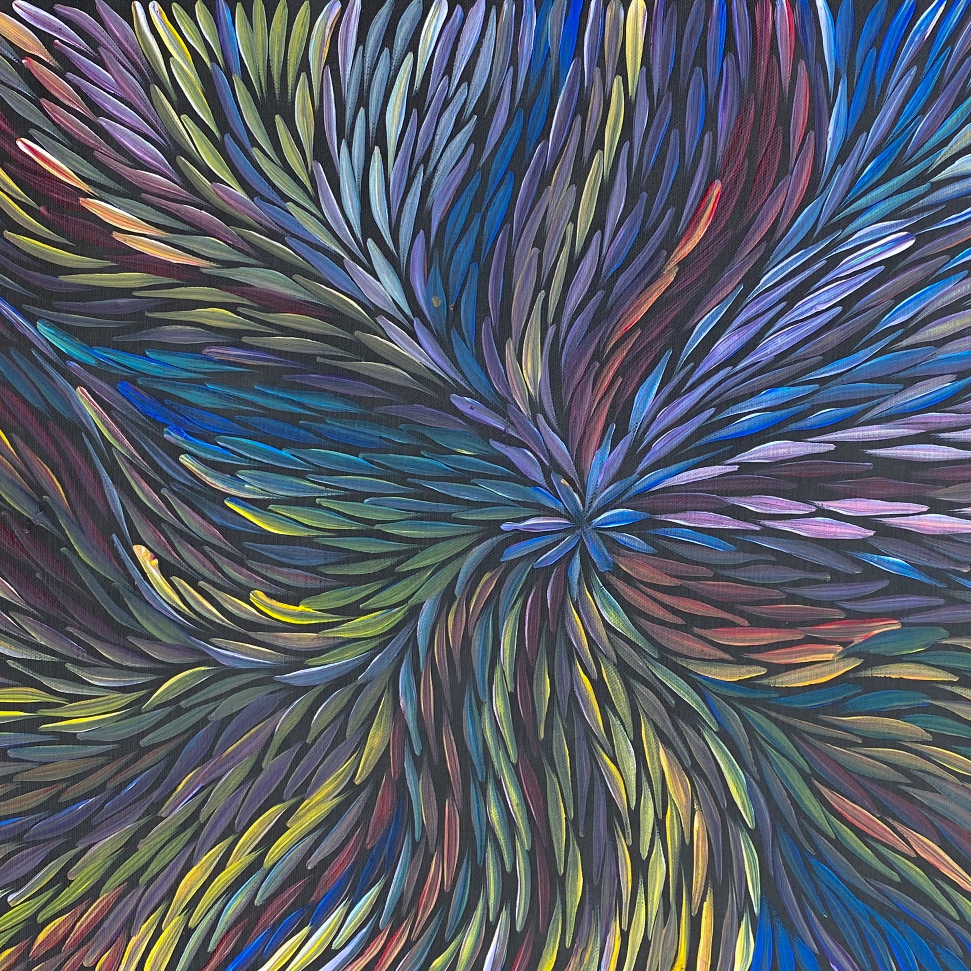 Jeannie Pitjara Petyarre Aboriginal Art Indigenous Art Australian Art Female Artist Dreaming Bush Medicine Art Comtemporary Art