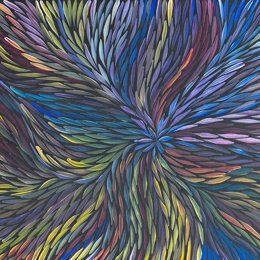 Jeannie Pitjara Petyarre Aboriginal Art Indigenous Art Australian Art Female Artist Dreaming Bush Medicine Art Comtemporary Art