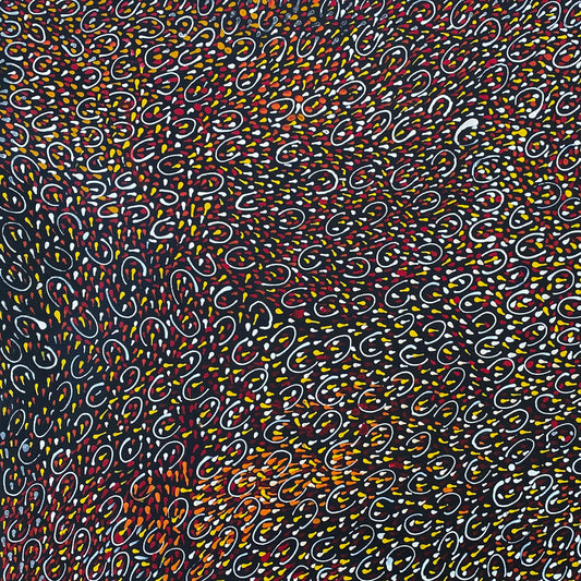 Jeannie Pitjara Petyarre Indigenous Art Aboriginal Art Australian Art Bush Seeds Contemporary Art Painting Utopia