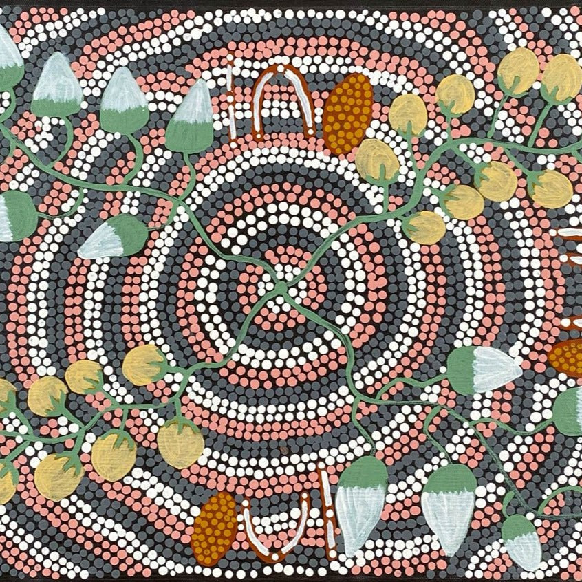 KATHY JAMES - Bush Tomato & Bush Banana