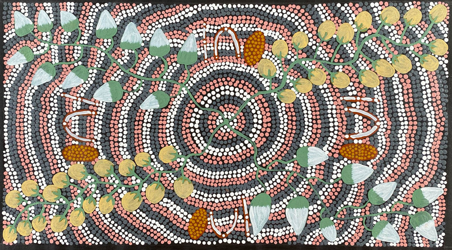 KATHY JAMES - Bush Tomato & Bush Banana