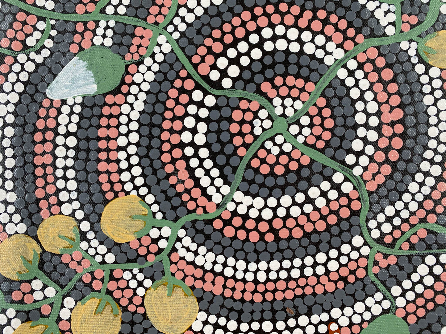 KATHY JAMES - Bush Tomato & Bush Banana