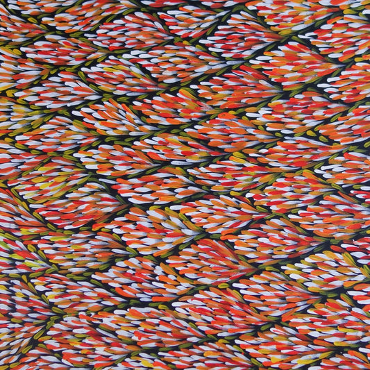 Margaret Turner Petyarre + Northern Territory + Indigenous Art + Aboriginal Art + Australian Art + Bush Medicine Leaves + Artwork + Painting + Darwin Based Gallery + Contemporary Art + Yellow + Green +