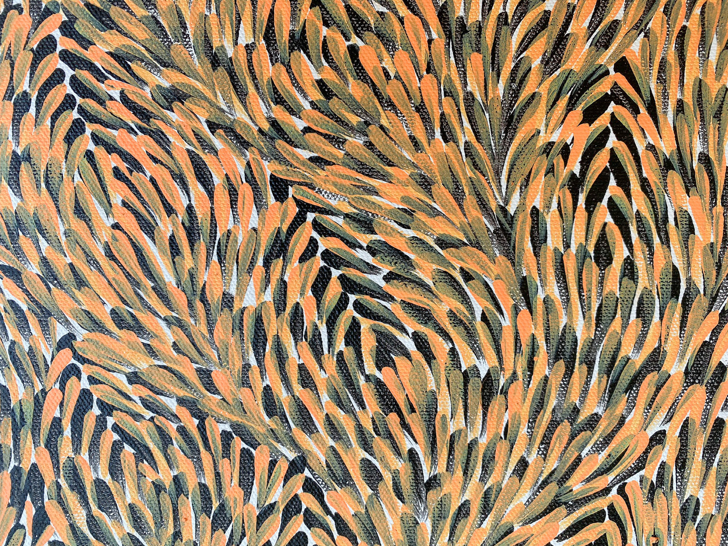 MARY RUMBLE PITJARA - Bush Medicine Leaves