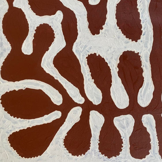 Mitjili Naparrula, Watiya Tjuta, Aboriginal art, indigenous art, Australian art, indigenous art for sale, art gallery, Darwin gallery, family business, desert art, at collectors, art for sale, altyerre aboriginal art, dreaming, ijuntji, haasts bluff, Pintupi art, art collector, iconic art, iconic, desert oak, watiya Tjuta, dreaming, décor, interior design, interior décor, wall art, paining for sale, art, painting for sale, papunya, famous artist, allocasuarina, decaisneana,