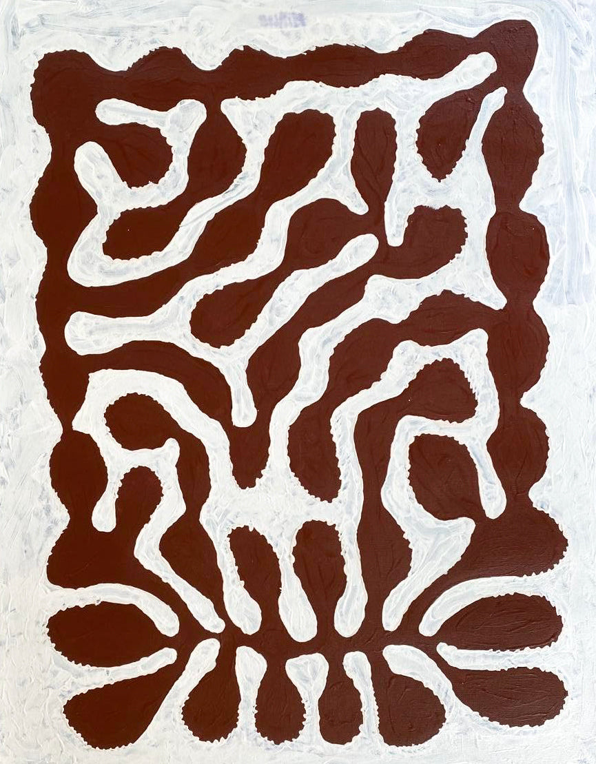 Mitjili Naparrula, Watiya Tjuta, Aboriginal art, indigenous art, Australian art, indigenous art for sale, art gallery, Darwin gallery, family business, desert art, at collectors, art for sale, altyerre aboriginal art, dreaming, ijuntji, haasts bluff, Pintupi art, art collector, iconic art, iconic, desert oak, watiya Tjuta, dreaming, décor, interior design, interior décor, wall art, paining for sale, art, painting for sale, papunya, famous artist, allocasuarina, decaisneana,